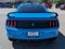 2017 Ford Mustang Shelby Shelby GT350